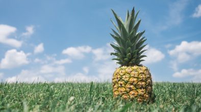 Znáte blahodárné účinky ananasu?