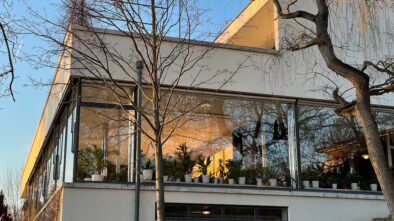 vily tugendhat