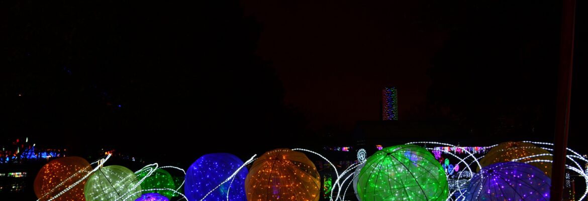 Festival planet